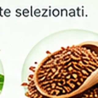 Immagine illustrativa: Lino (semi di lino)